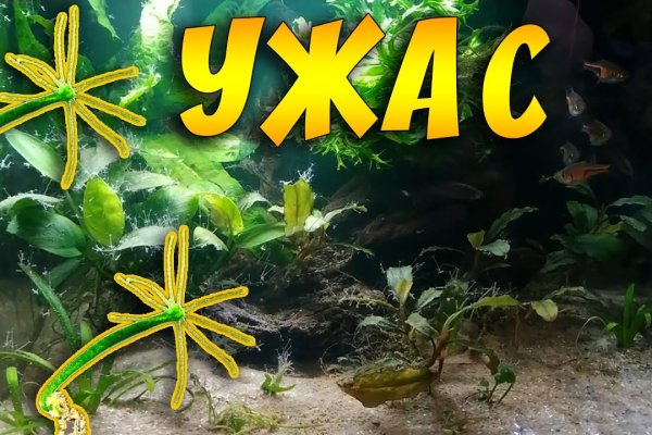 Ссылки зеркала на kraken kraken dark link