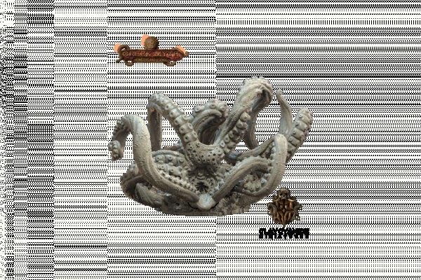 Kraken forum