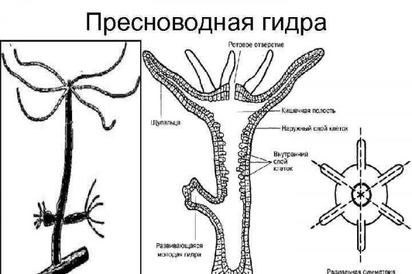 Кракен маркет даркент только через тор