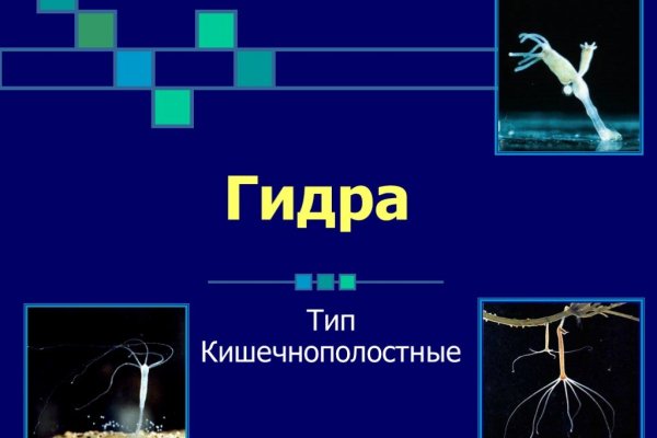 Проверенная ссылка кракен