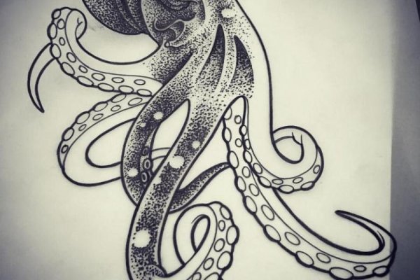 Как найти kraken