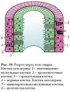 Кракен зеркало рабочее на сегодня