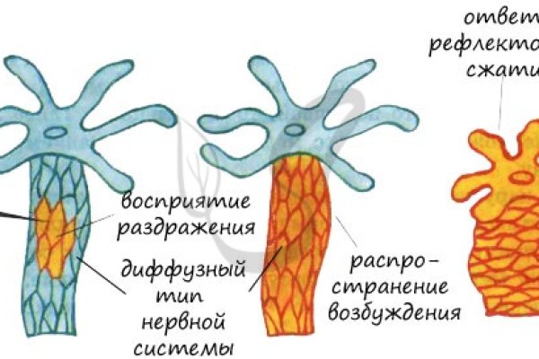 Кракен даркнет ссылка
