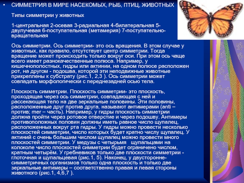 Что такое кракен шоп
